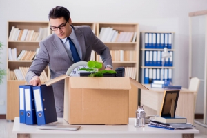 Licensed and Insured Movers Licensed and Insured Movers